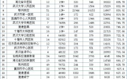 湖北医院收入排行（湖北医院30强）