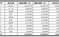 深圳技术经理收入（深圳技术总工薪资）