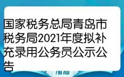 青岛税务收入12（青岛税务局收入）