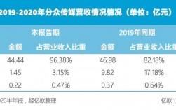 分众传媒广告收入（分众传媒广告收入怎么样）