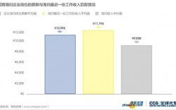 海归的收入（海归收入水平）