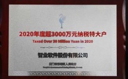 智业软件收入（智业软件上市2021）