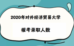 外经贸的收入（外贸经济专业）