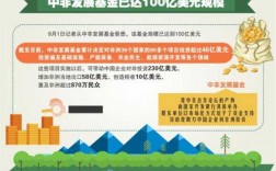 中非基金收入（中非基金收入怎么样）