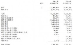 石药医药代表收入（石药集团医学专员工资）