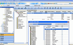 erp财务顾问收入（erp财务实施顾问经常加班吗）