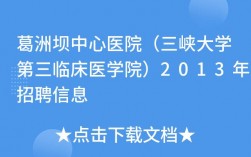 三峡院收入（三峡医院年收入）