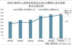 云南南华平均收入（云南省平均人口收入）