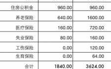 税前年收入格式（税前年收入万元怎么填）