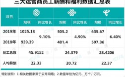 电信集团收入待遇（电信集团工资待遇怎么样）