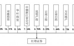 红塔集团收入（红塔集团收入算不算省政府收入）