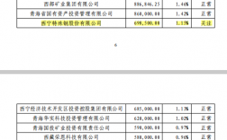 青海的银行收入（青海的银行收入怎么样）