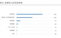 导演的收入比例（导演 收入）