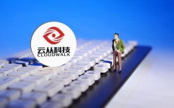 中科云从科技收入（中科云公司）