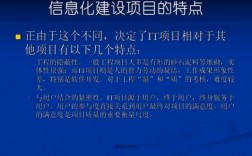 信息化监理收入（信息化监理工作内容）