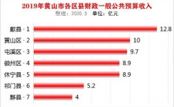 2015黄山市财政收入（黄山市财政收入2019）