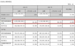 控股公司的收入（控股公司的收入怎么算）