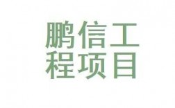 深圳鹏信收入（深圳鹏信工程项目管理顾问有限公司）