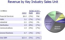 ibm中国区收入（ibm中国怎么样）