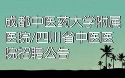 成都中医师收入（成都中医讲师招聘）