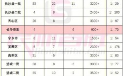 长沙数学培训教师收入（长沙培训机构教师收入）