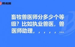 兽医师助理收入（兽医师助理的工作内容）