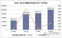 鹏欣集团收入规模（鹏欣集团总资产）