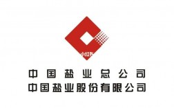 中盐总公司收入（中盐集团营业收入）