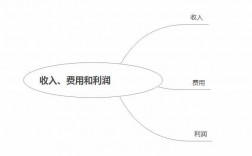 实验项目收入如何列支（实验项目收入如何列支费用）