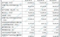 张江医药公司收入（张江医药企业实力排名）