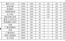 武汉传媒学院收入（武汉传媒学院多少钱一年）