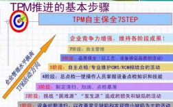 tpm收入是什么（tpm具体做什么）