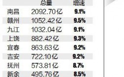 2017赣州经济收入（2020年赣州经济总量）