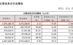 广汇集团收入（广汇集团收入如何）