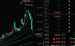 股价除以月收入（股价除以月收入是什么）