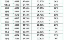 合肥护士收入（合肥护士收入年）