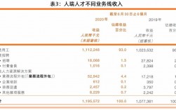 人瑞人才年收入（人瑞人才2020年财报）