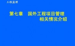 海外监理收入（海外监理待遇）