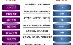 sap经理收入（sap经理是什么意思）