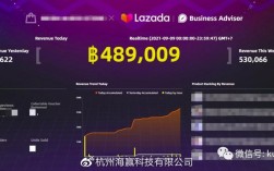 lazada真实收入（lazada挣钱吗）