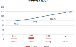 华安保险2016收入（华安保险市值多少）