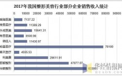 整形收入（整形行业收入）