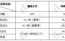 湖南大学收入（湖南大学收入怎么样）