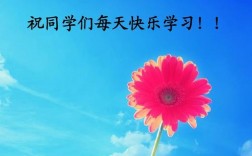 快乐学习收入（快乐学工资）