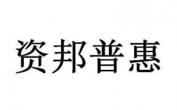 资邦集团收入怎样（资邦控股怎么样）