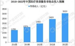 美容诊所收入（美容诊所收入与支出差额大的原因）