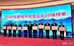 泰安企业收入（泰安纳税前十名企业2020）