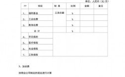 案场收入属于物业经营收入（案场物业项目费用的构成）