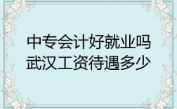 会计武汉收入（武汉会计工资4500怎么样）