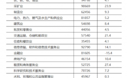 副总年收入（副总工资一般多少钱一个月）